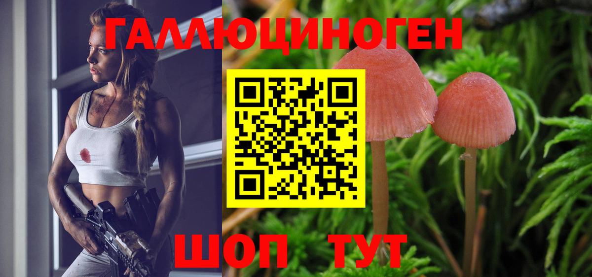 Псилоцибиновые грибы ЛСД  как найти закладки  Гулькевичи  Вход с VPN 